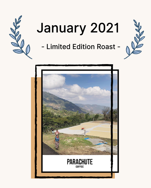 parachute coffee, north america coffee subscription, toronto coffee subscription