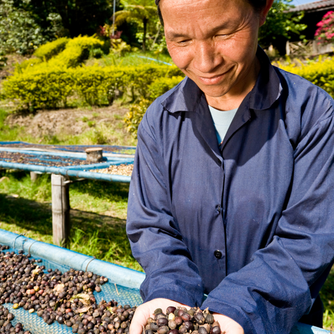 Ethically sourced coffee